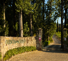 Casa da Touriga 2 dias Soito Wines