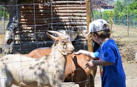 Casa das Palmeiras - Nature Houses & Pedagogic Farm Experiências Únicas em Família