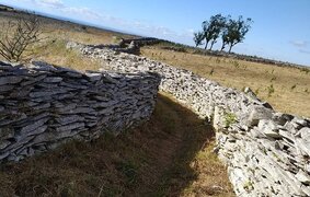 Retiro da Avó Lídia Desconectar para Reconectar: A Experiência do Retiro da Avó Lídia