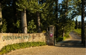 Casa da Touriga 2 dias Soito Wines