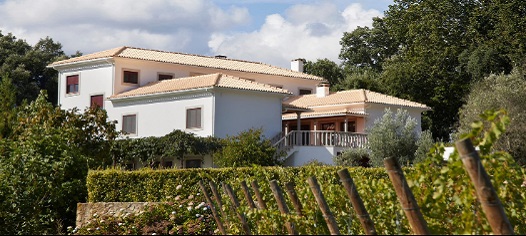 Quinta Do Sobral Campanha 2026