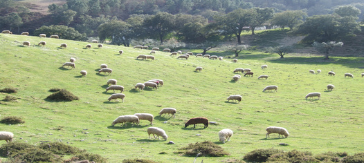 Vumba Agroturismo Um alojamento de qualidade enquadrado por um ambiente rural